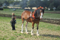 10_scf2k7_mw